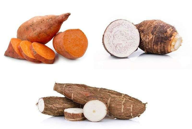 Alternatif Sehat Pengganti Nasi, Ahli Gizi Rekomendasikan Karbohidrat Kompleks foto Ist