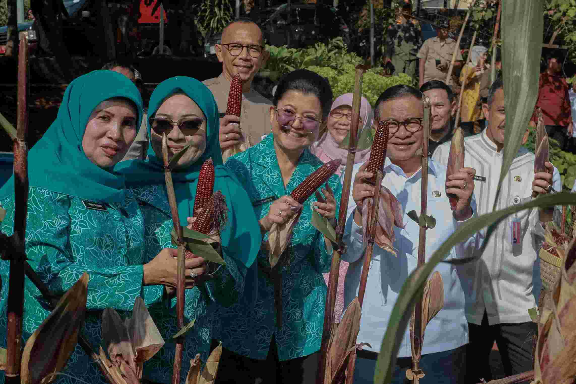 Gubernur Pramono Hadiri Panen Raya Jagung Pulut di Pesanggrahan, Dorong Penguatan Urban Farming di Jakarta