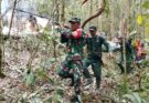 Pesawat Pelita Air Jatuh di Krayan Timur, TNI Turunkan 21 Personel Evakuasi