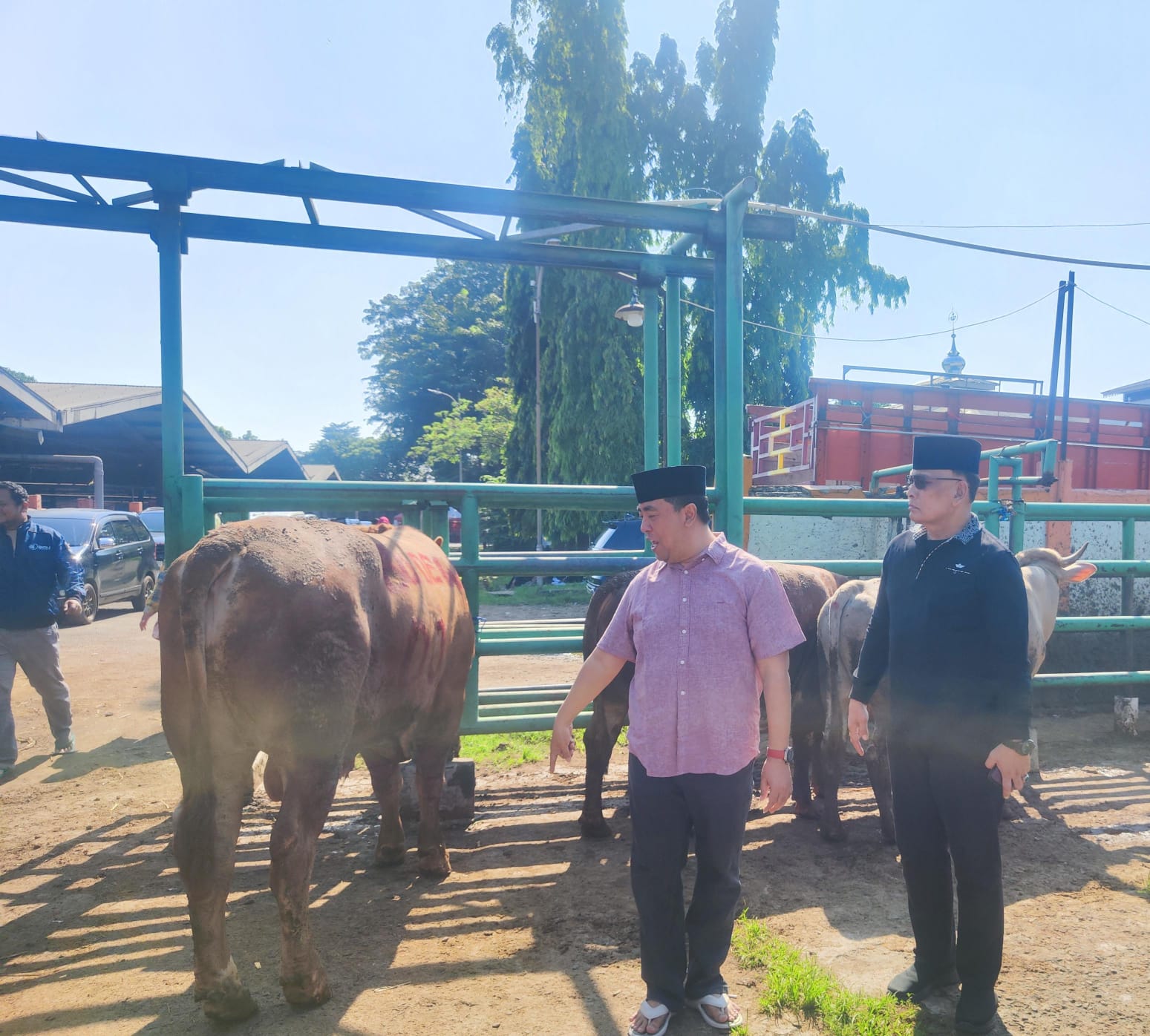 FUSI salurkan tiga ekor sapi kurban untuk warga membutuhkan di Jakarta Timur