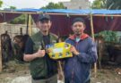 Pemkot Tangerang Mulai Pendataan dan Pengawasan Lapak Hewan Kurban Jelang Idul Adha 1447 H